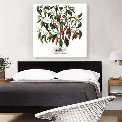 Red Pepper Plant