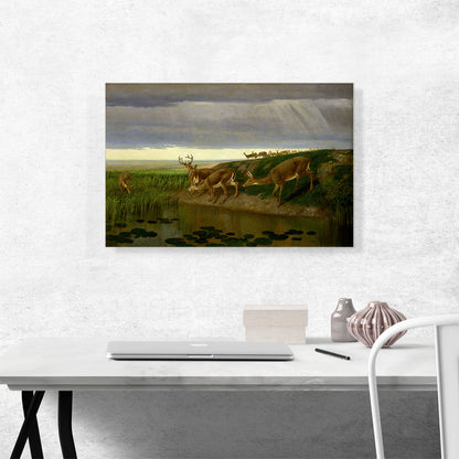 Deer on the Prairie