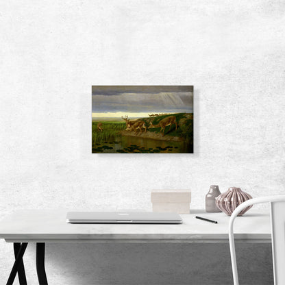 Deer on the Prairie