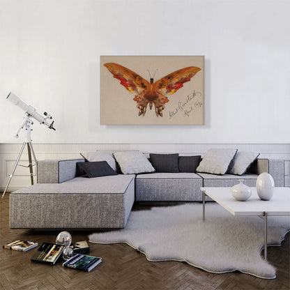 Butterfly 1896