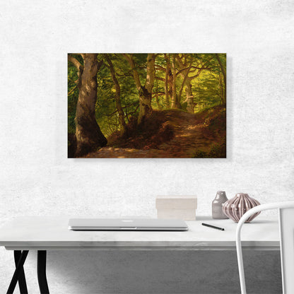 A Path Through The Forest