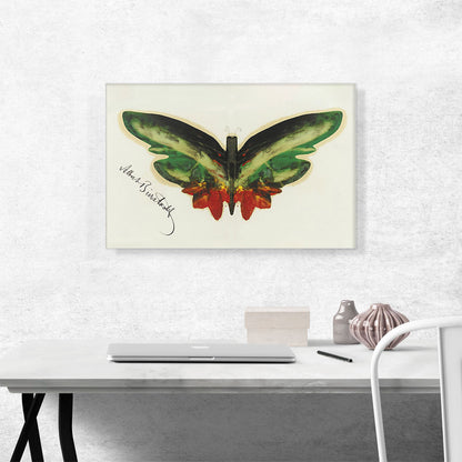 Green Butterfly