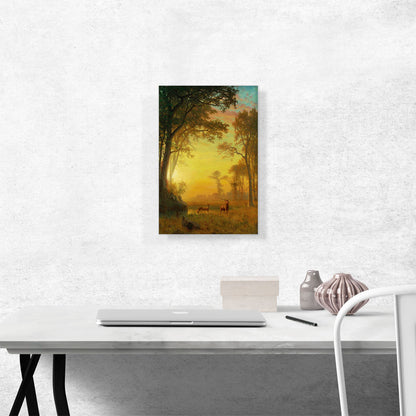 Light In The Forest