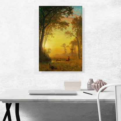 Light In The Forest