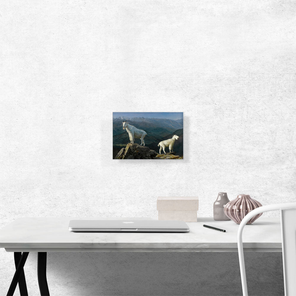 Mountain Goats