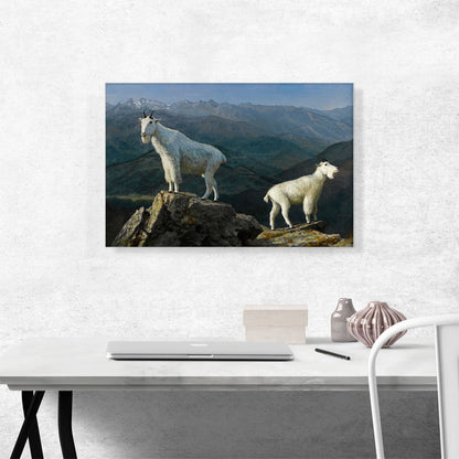 Mountain Goats
