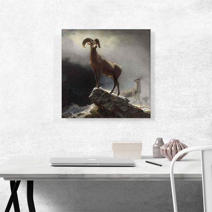 Rocky Mountain Big Horn Sheep 1884