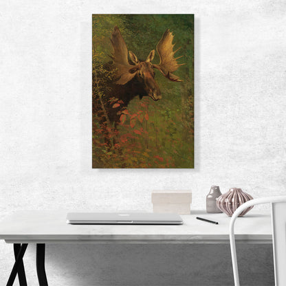 Study Of a Moose