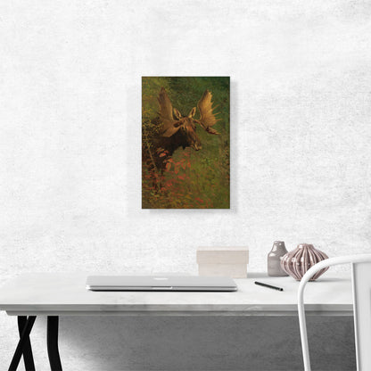 Study Of a Moose