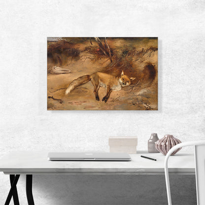Fox
