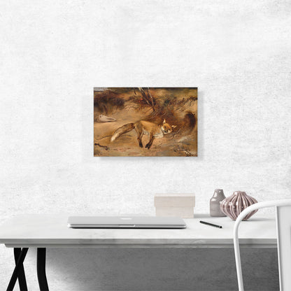 Fox