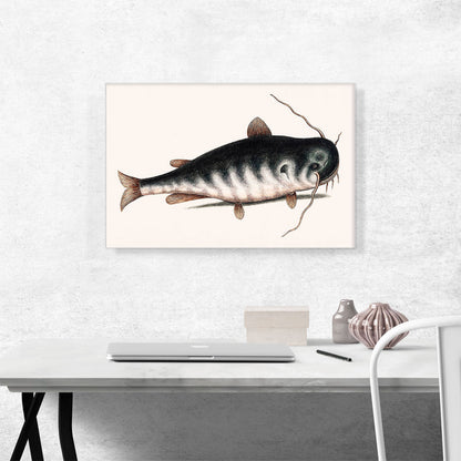 Cat Fish