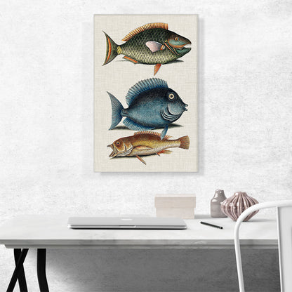Parrot Fish Tang Fish And Yellow Fish
