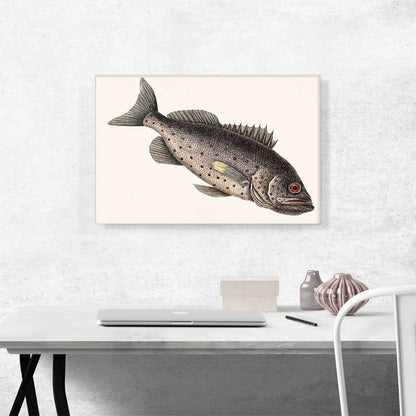 Rockfish