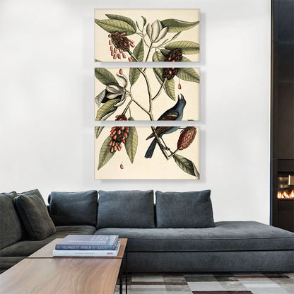 Southern Magnolia