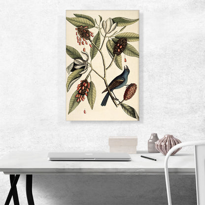 Southern Magnolia