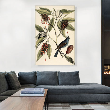 Southern Magnolia