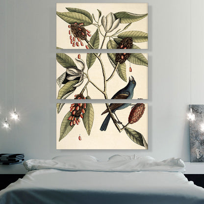 Southern Magnolia