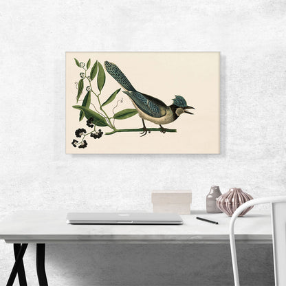 The Blue Jay