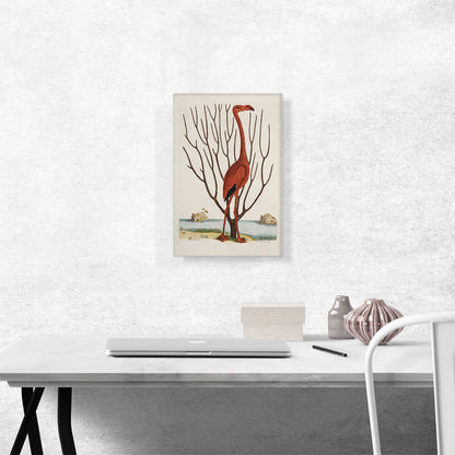 The Flamingo