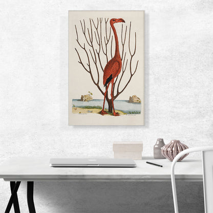 The Flamingo