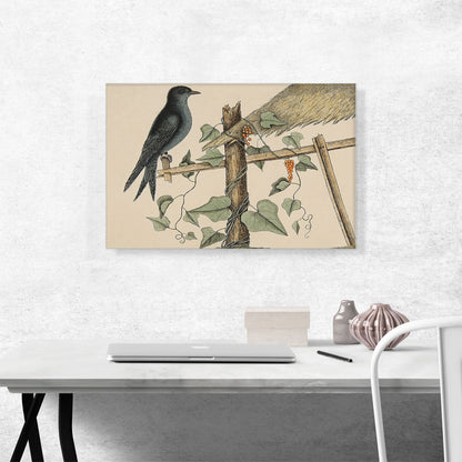 The Purple Martin