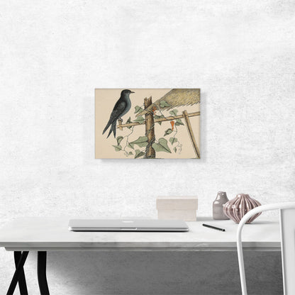 The Purple Martin