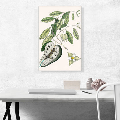 Vintage Illustration Of Blue Tail Lizard