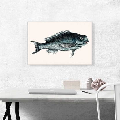 Blue Fish