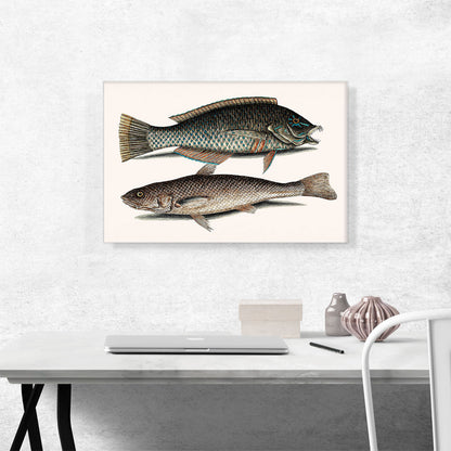 Vintage Illustration Of Puddingwife Carolina Whiting