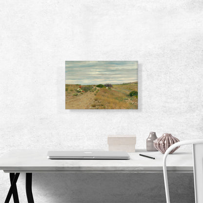 The Old Sand Road 1894
