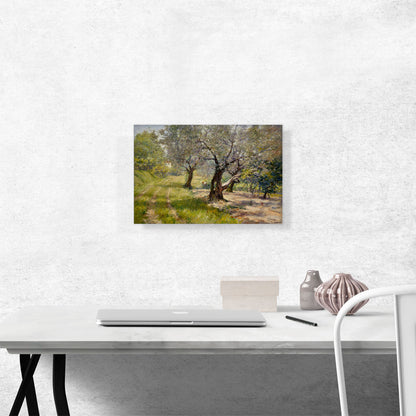 The Olive Grove 1901