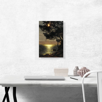 Moonlit Coast