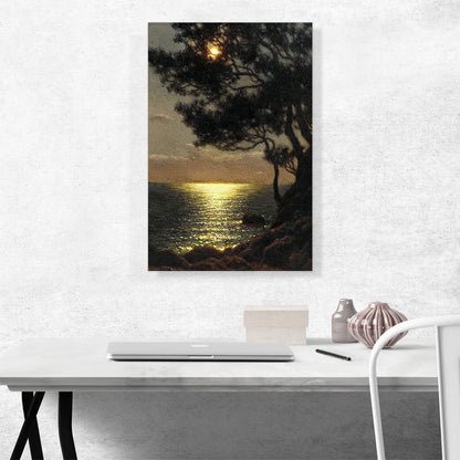 Moonlit Coast