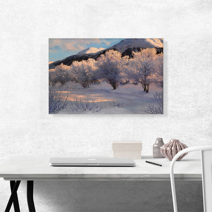 Symphony Of Evening Engadine