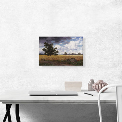 Wheatfields