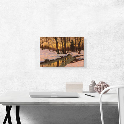 Winter Sunset In Forest