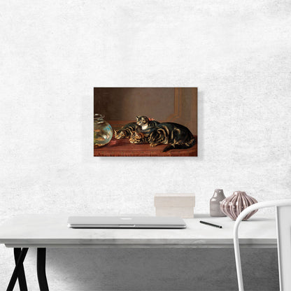 Cats By a Fishbowl
