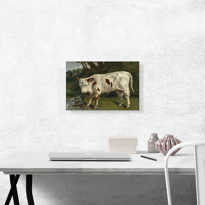 The White Veal