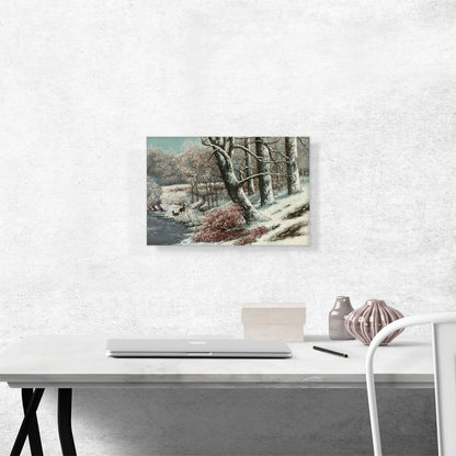 Winter Forest
