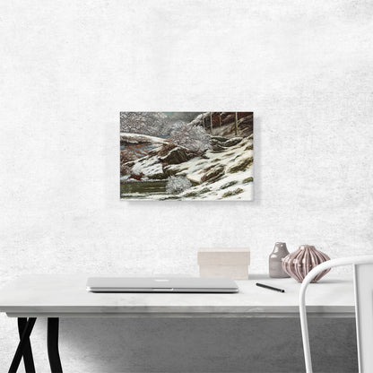 Winter Landscape