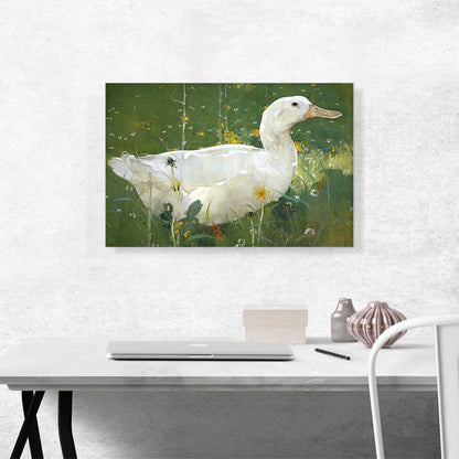 The White Drake 1895