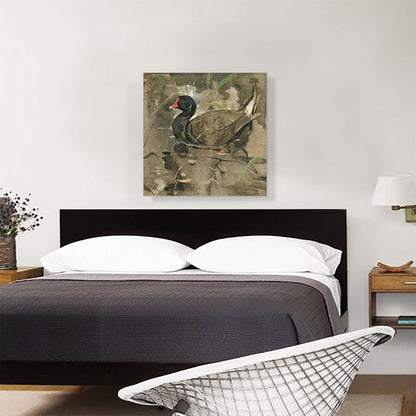 The Moorhen