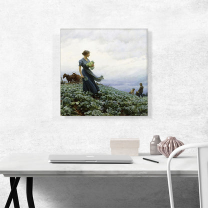 The Cabbage Field 1914