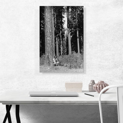 In The Forest Klamath 1923