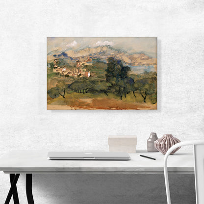 Olive Trees