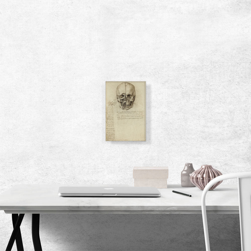 Studies of the Human Body - Skull