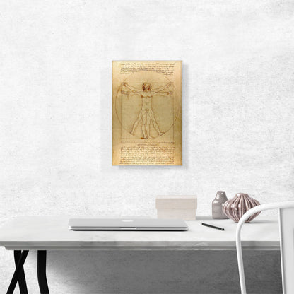 The Vitruvian Man 1485