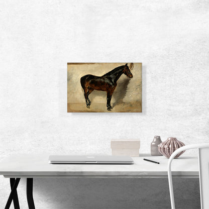 Study of a Brown-Black Horse