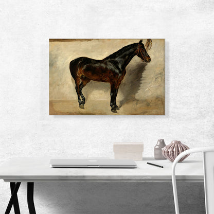 Study of a Brown-Black Horse